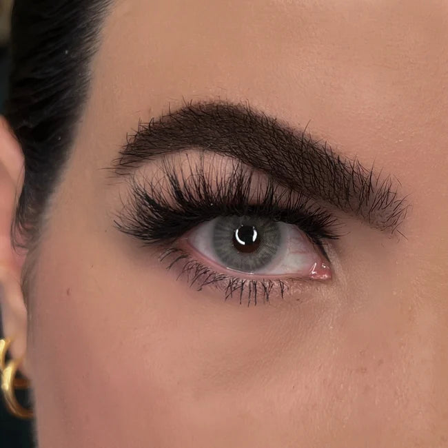 Alaska Gray